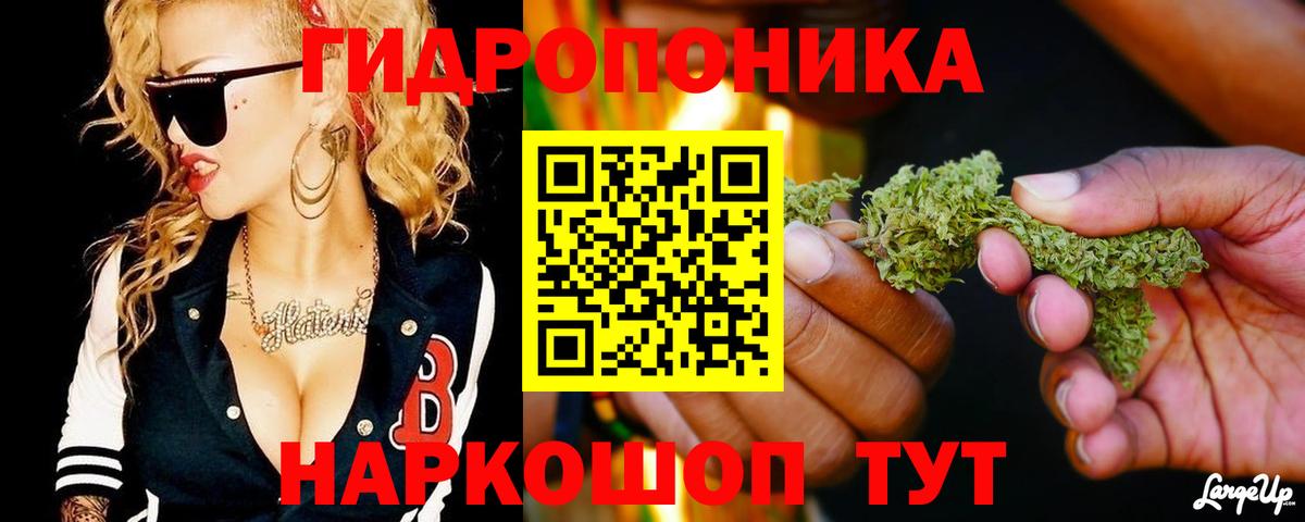 Бошки марихуана планчик  Канабис THC 21%  Конопля White Widow  Ступино  Конопля планчик  Вход с VPN 